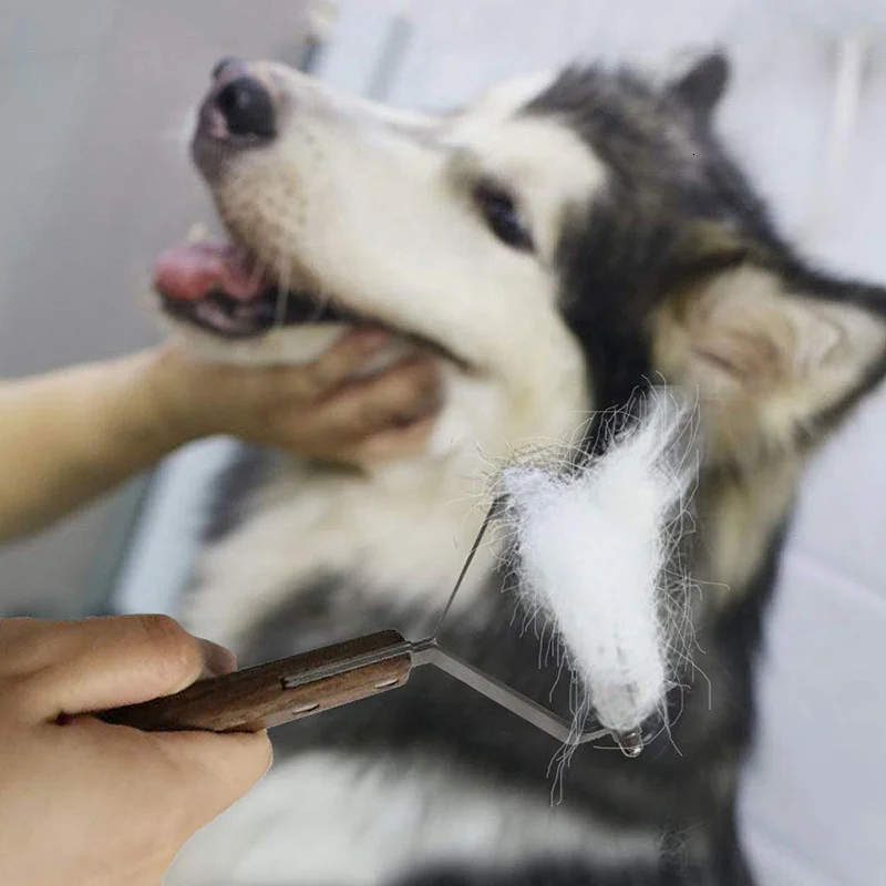 Perro con pelaje suave siendo cepillado