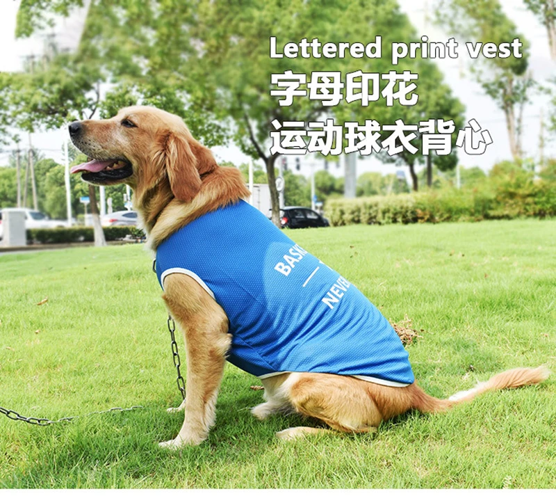 Perro usando chaleco rojo durante un paseo