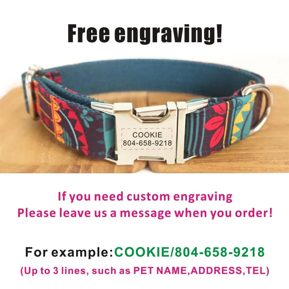 Collar para perro Maya en uso