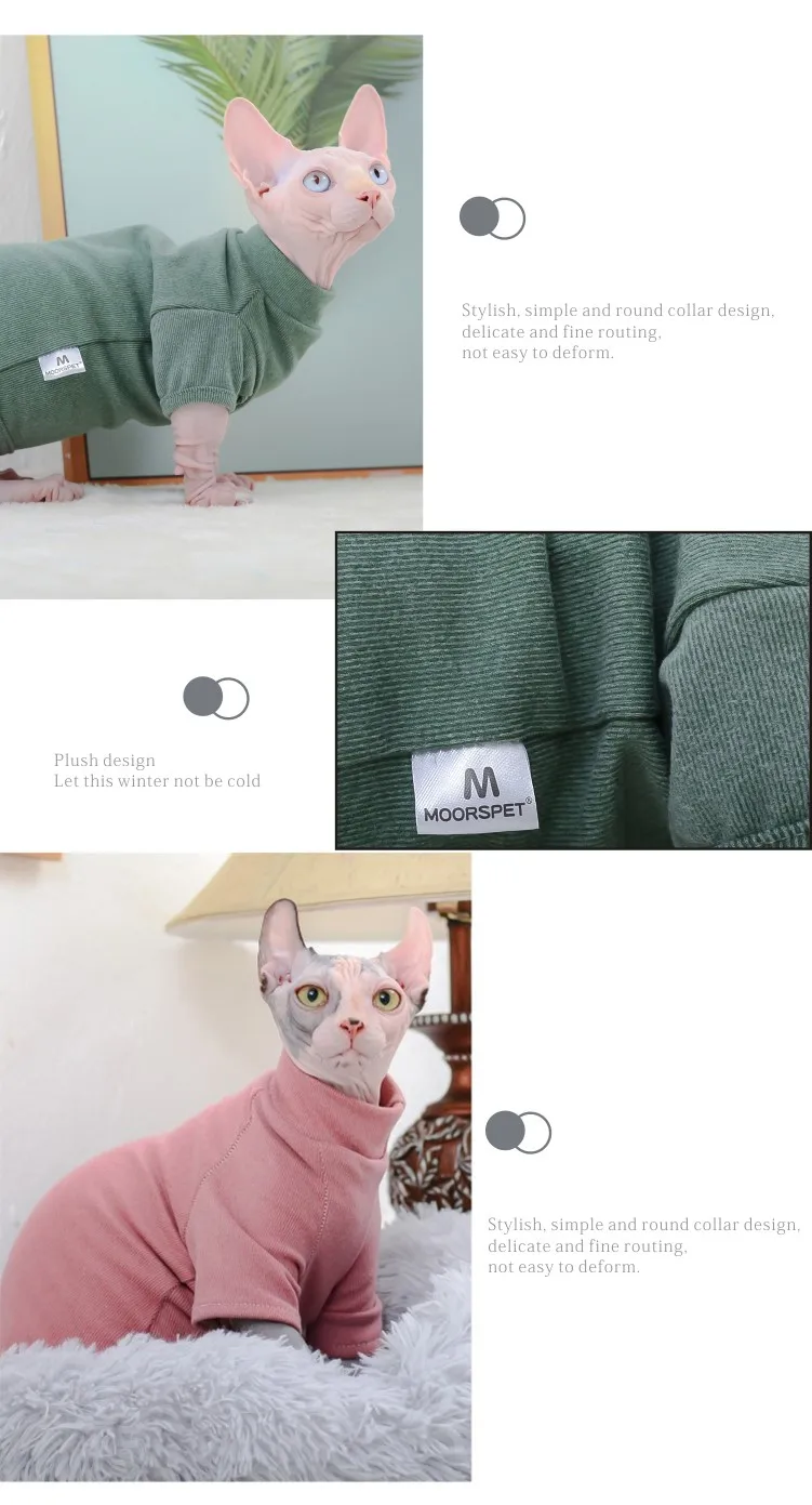 Gato jugando con la sudadera puesta