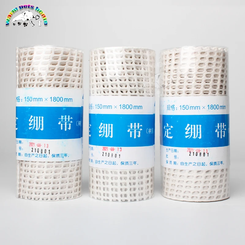 Aplicación de la férula en pata de mascota