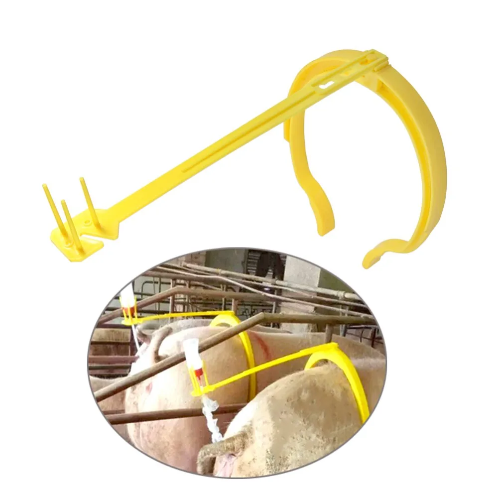 Clip de inseminación visto de frente