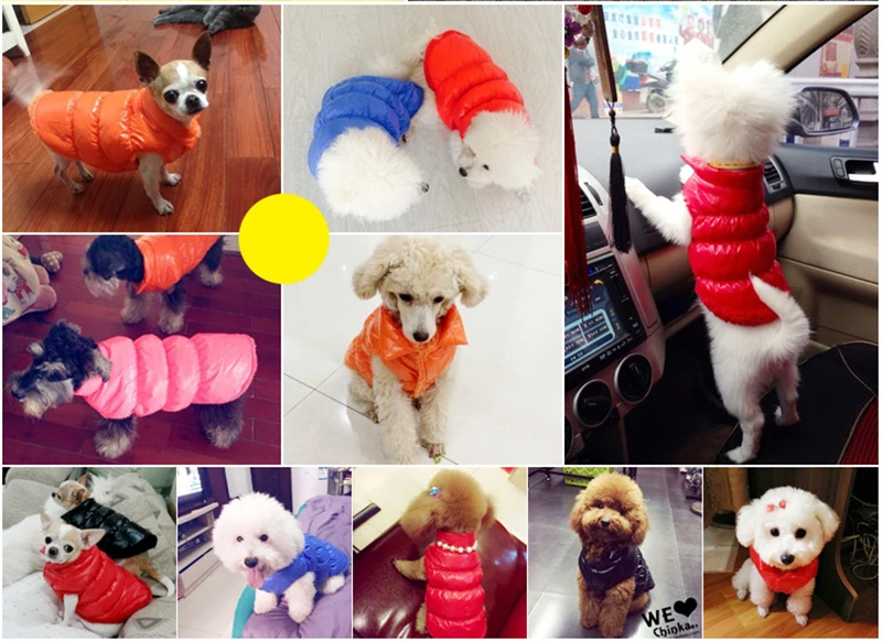 Abrigo para Yorkshire Shih Tzu