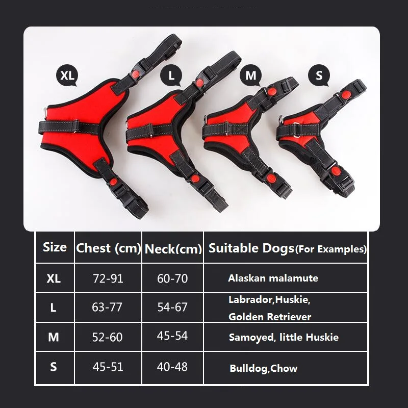 Detalle del acolchado del arnés