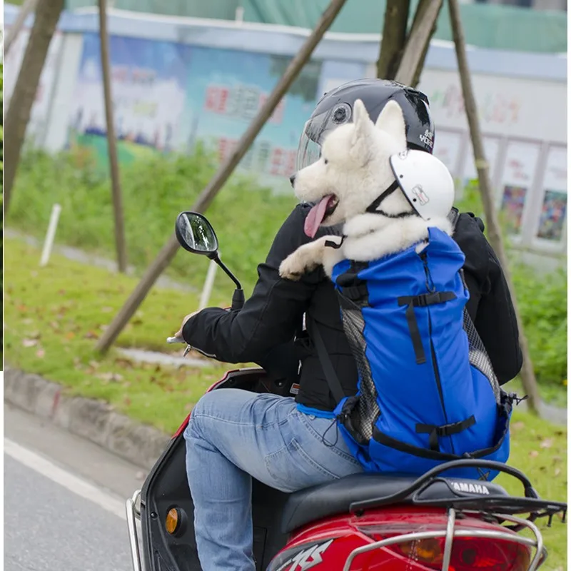 Mochila en uso durante una ruta de montaña con mascota mirando fuera