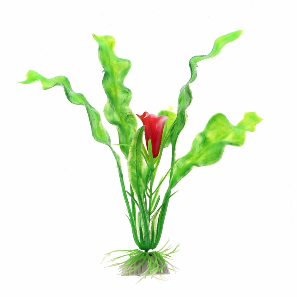 Variedad de colores en planta