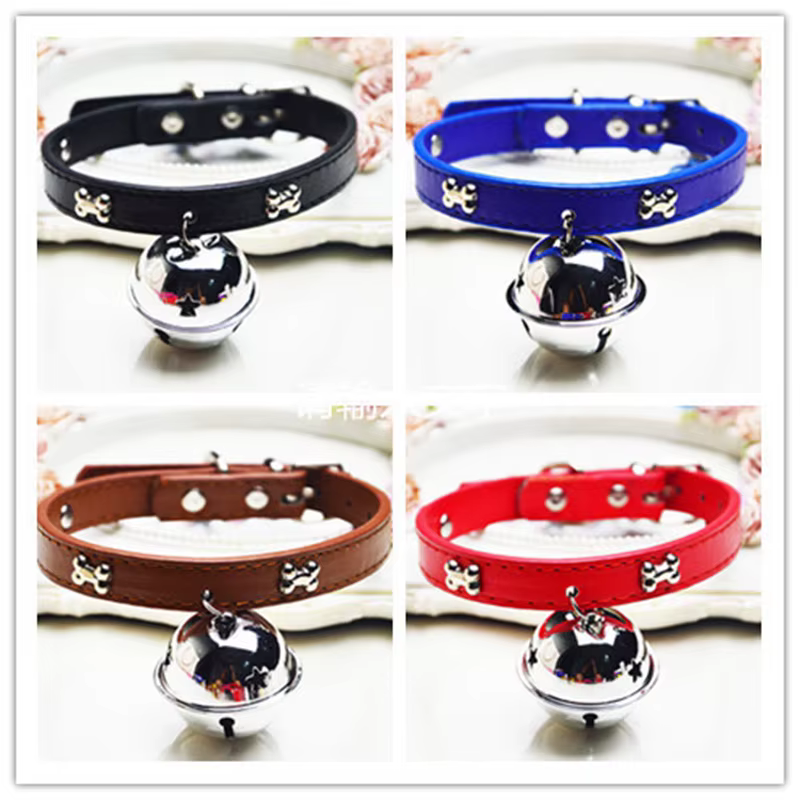 Collar puesto en mascota