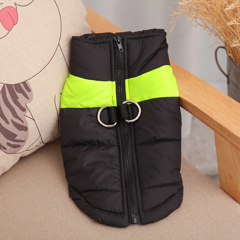 Modelo Labrador usando abrigo talla 4XL