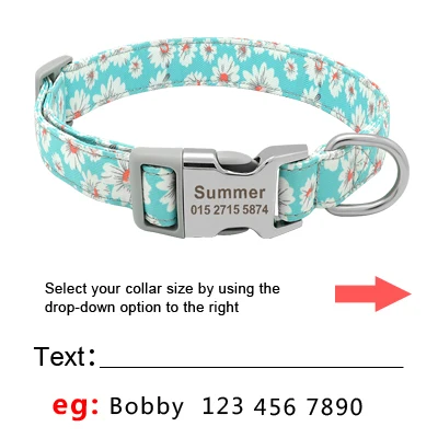 Collar con nombre grabado para identificación