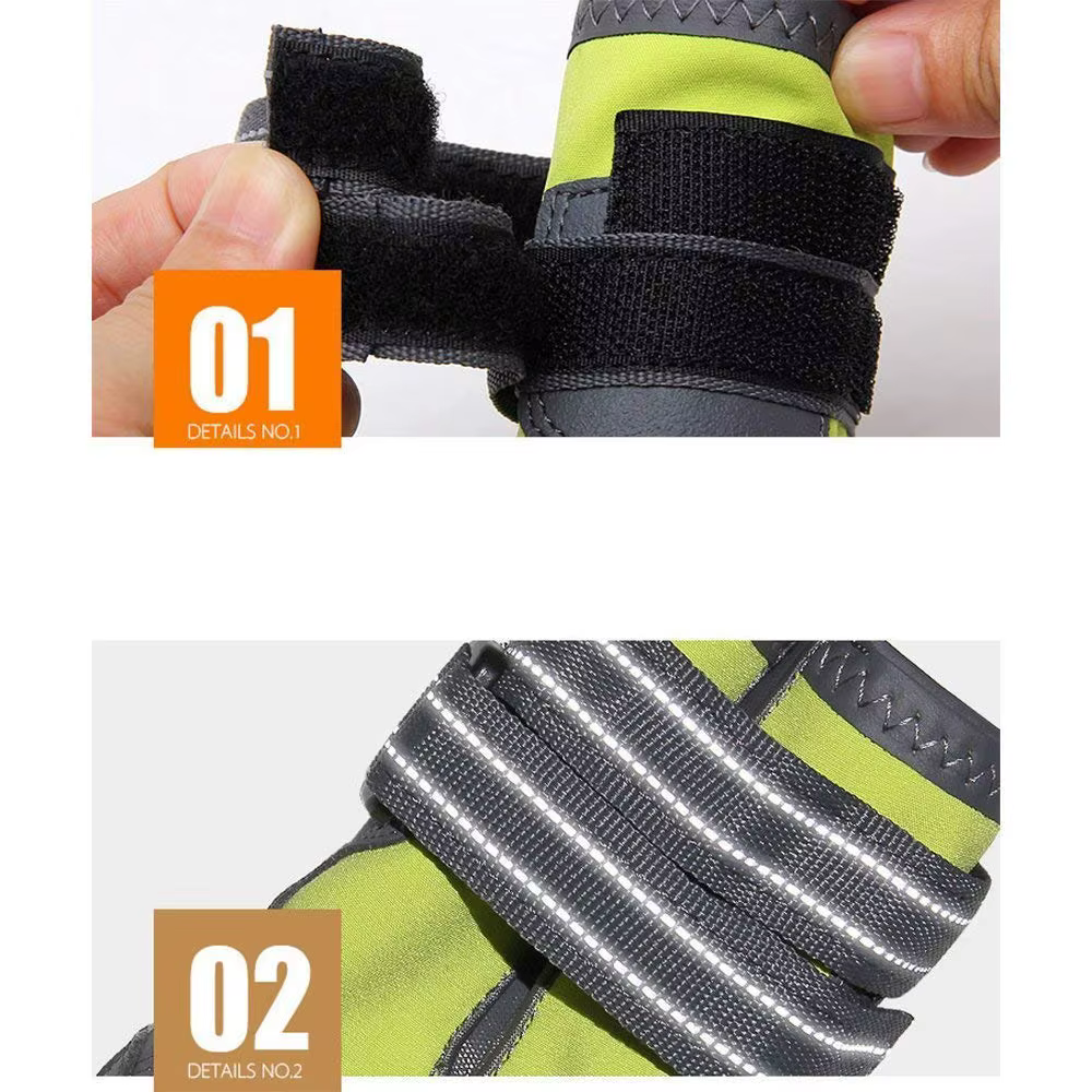 Método para medir la pata del perro