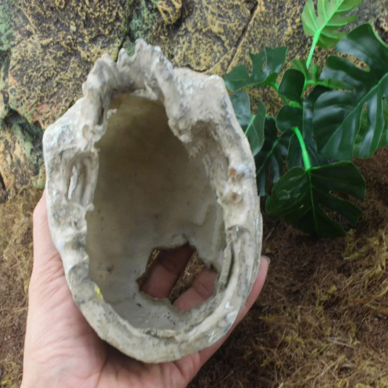 Estatua en contexto de terrario