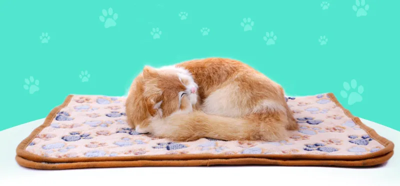 Guía de tamaños disponible