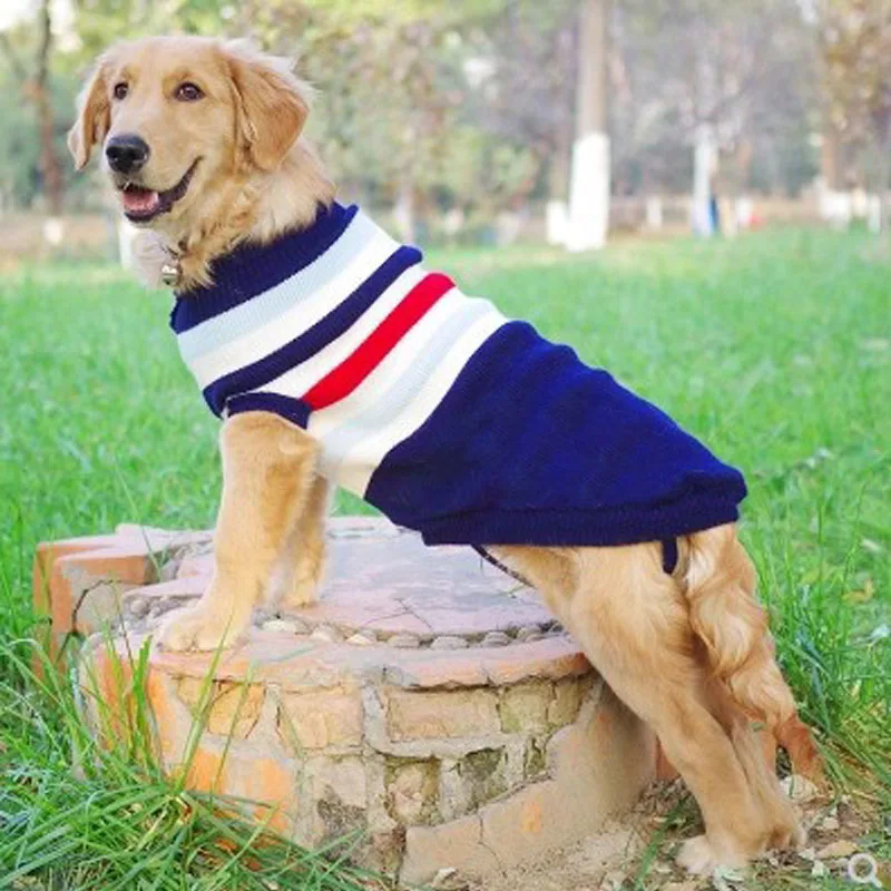 Suéter de punto azul marino para perro grande