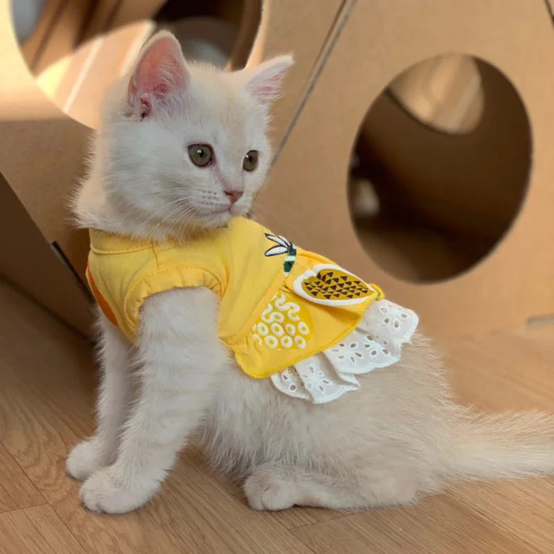 Detalle del cierre de velcro y la cintura elástica