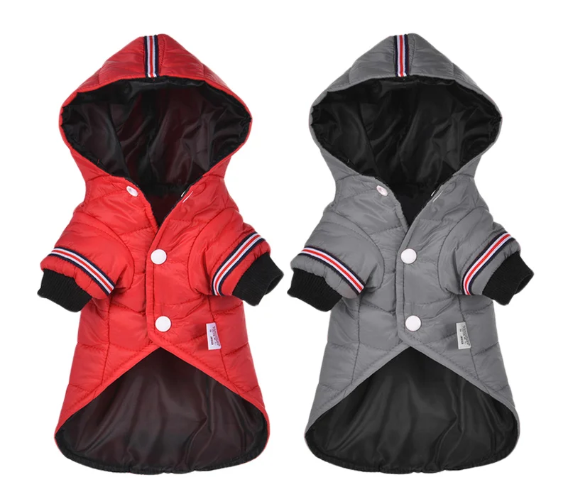 Perrito con capucha puesta