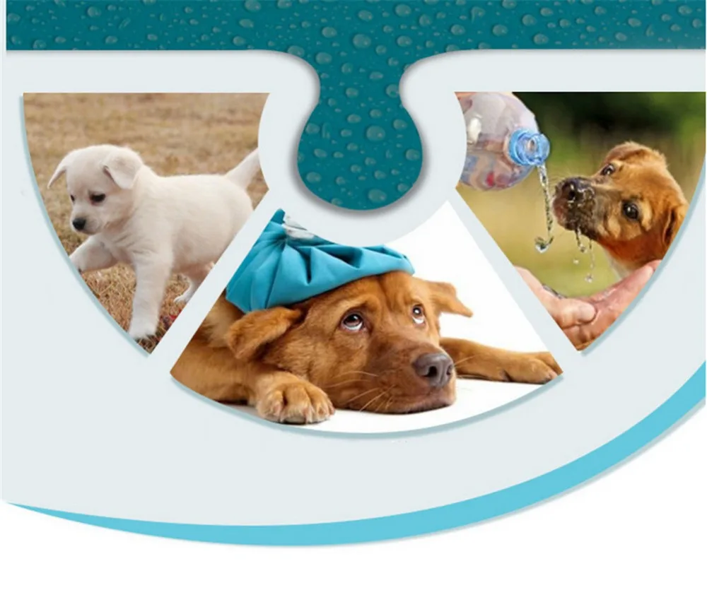 Bebedero portable con tazón desplegado