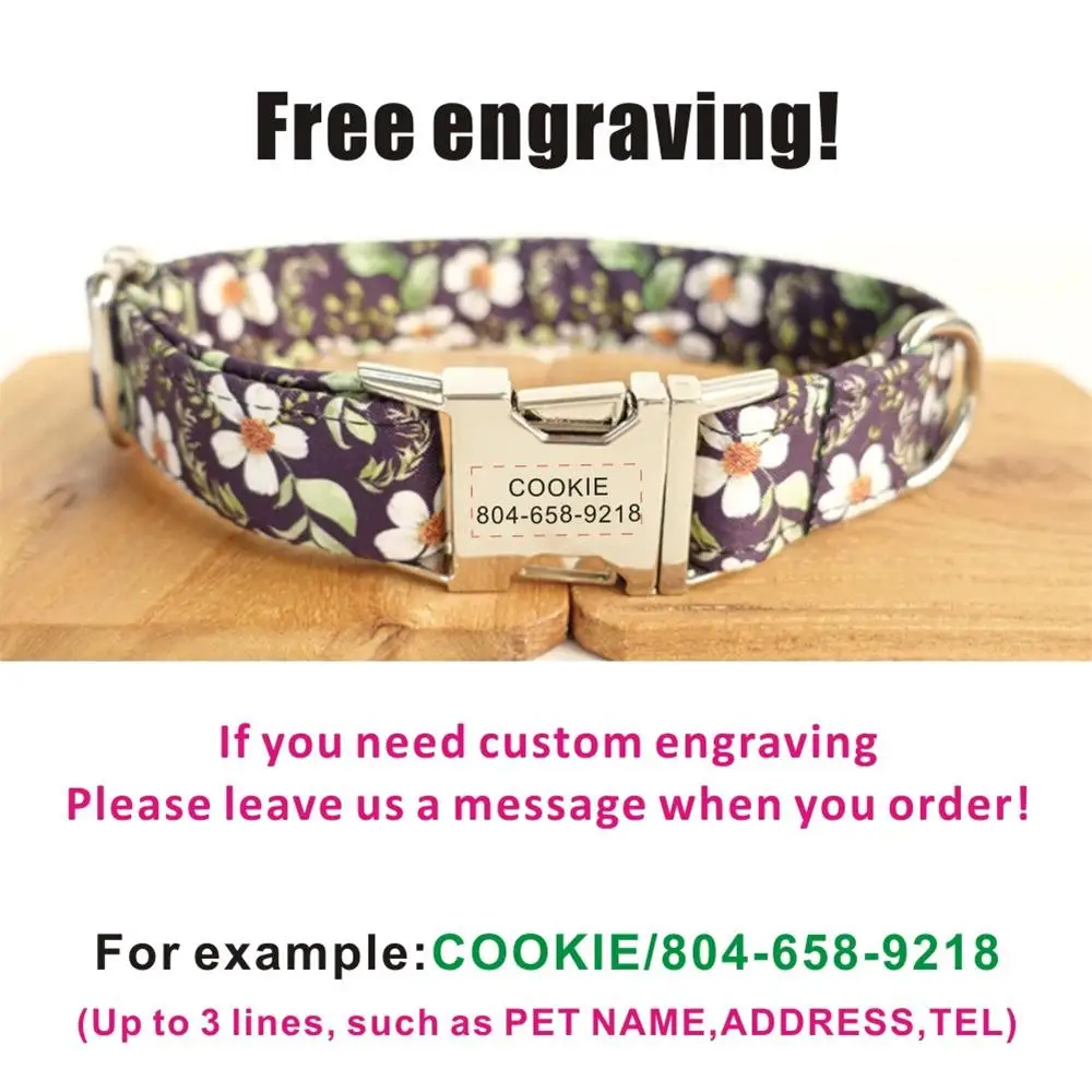 Collar con grabado personalizado y correa de plomo