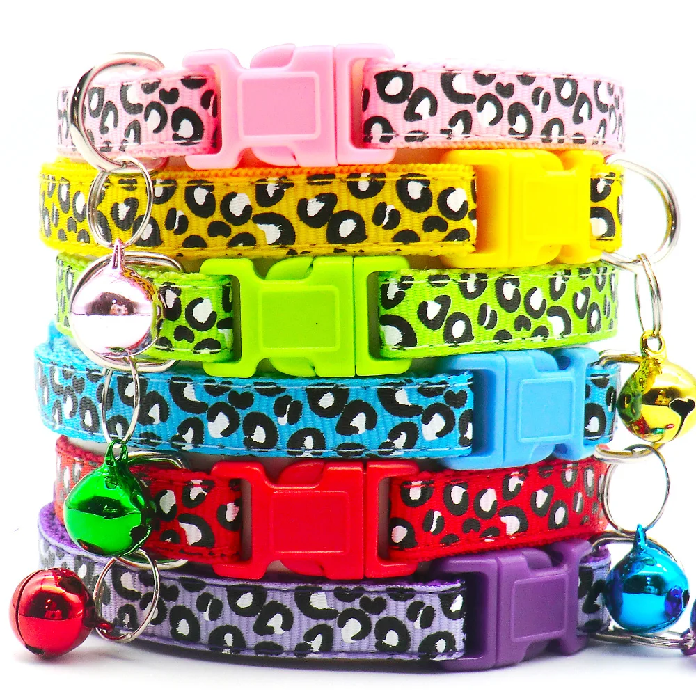Collar leopardo puesto a un cachorro