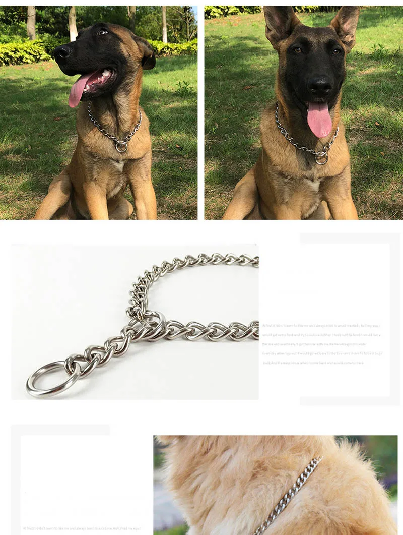 Collar de entrenamiento resistente de acero inoxidable