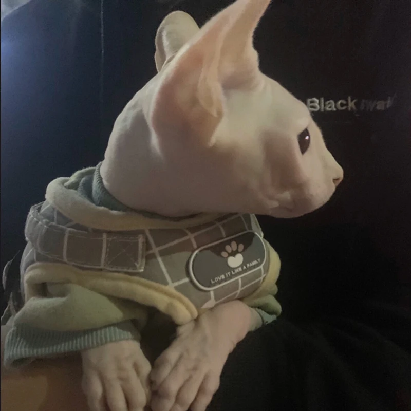 Detalle de la hebilla de seguridad del arnés