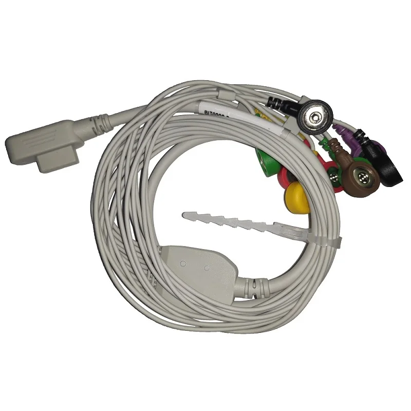Vista detallada del conector Banana