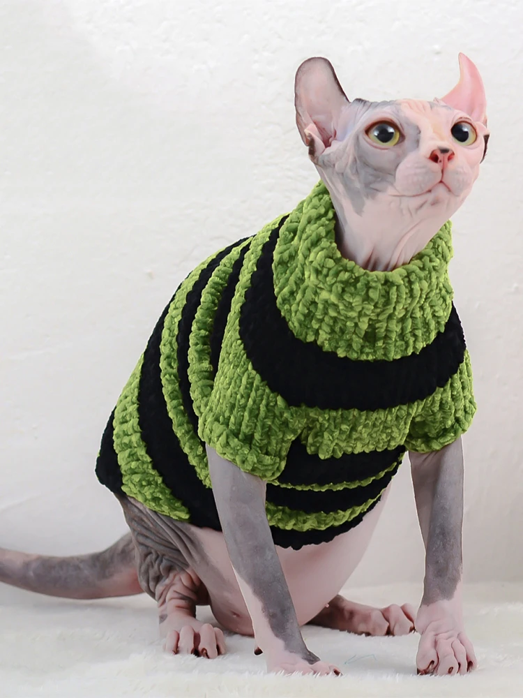 Gato usando el suéter