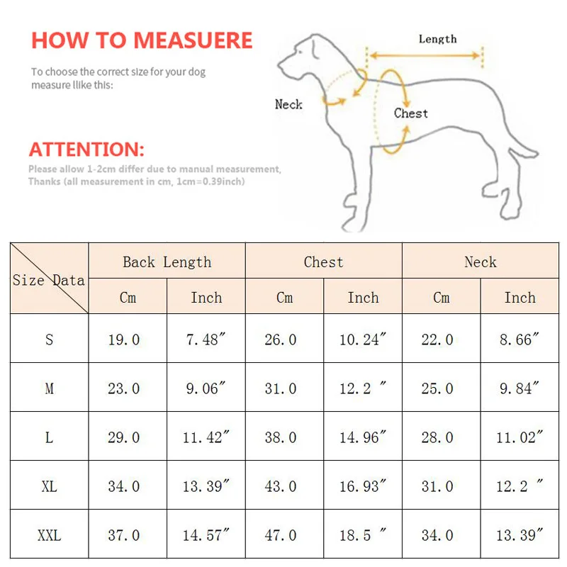 Vista frontal del mono XLeiPet
