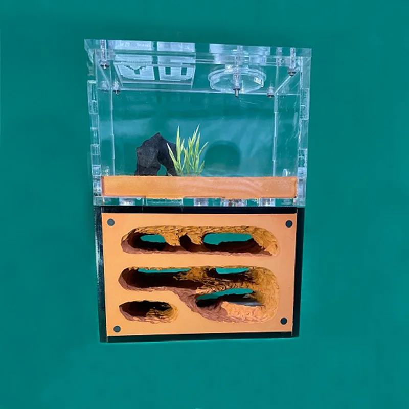 Detalle del sistema de expansión con puertos de 10 mm
