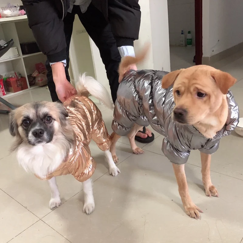 Chaqueta de plumón para perros vista lateral