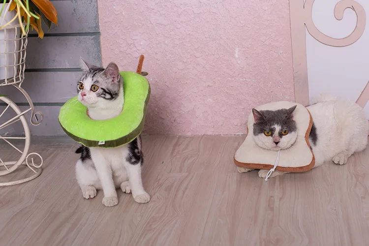 Collar de recuperación en forma de aguacate