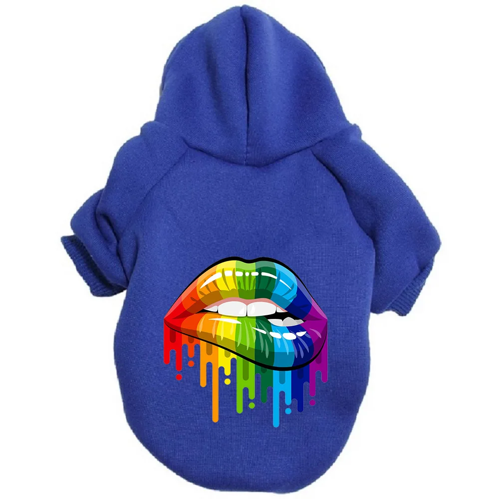 Perro usando la sudadera