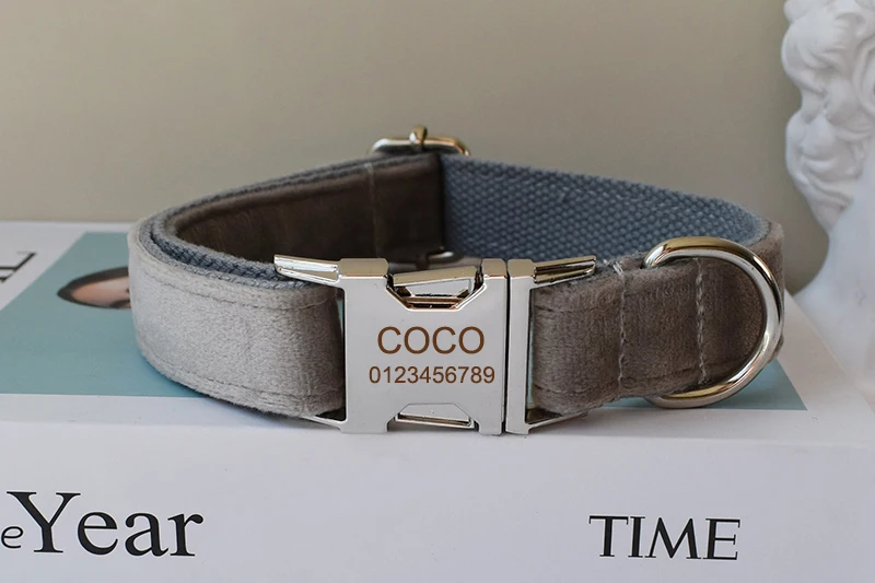 Ejemplos de collares para diferentes perros