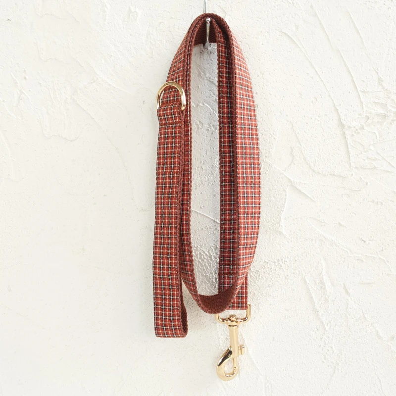Mascota con collar puesto