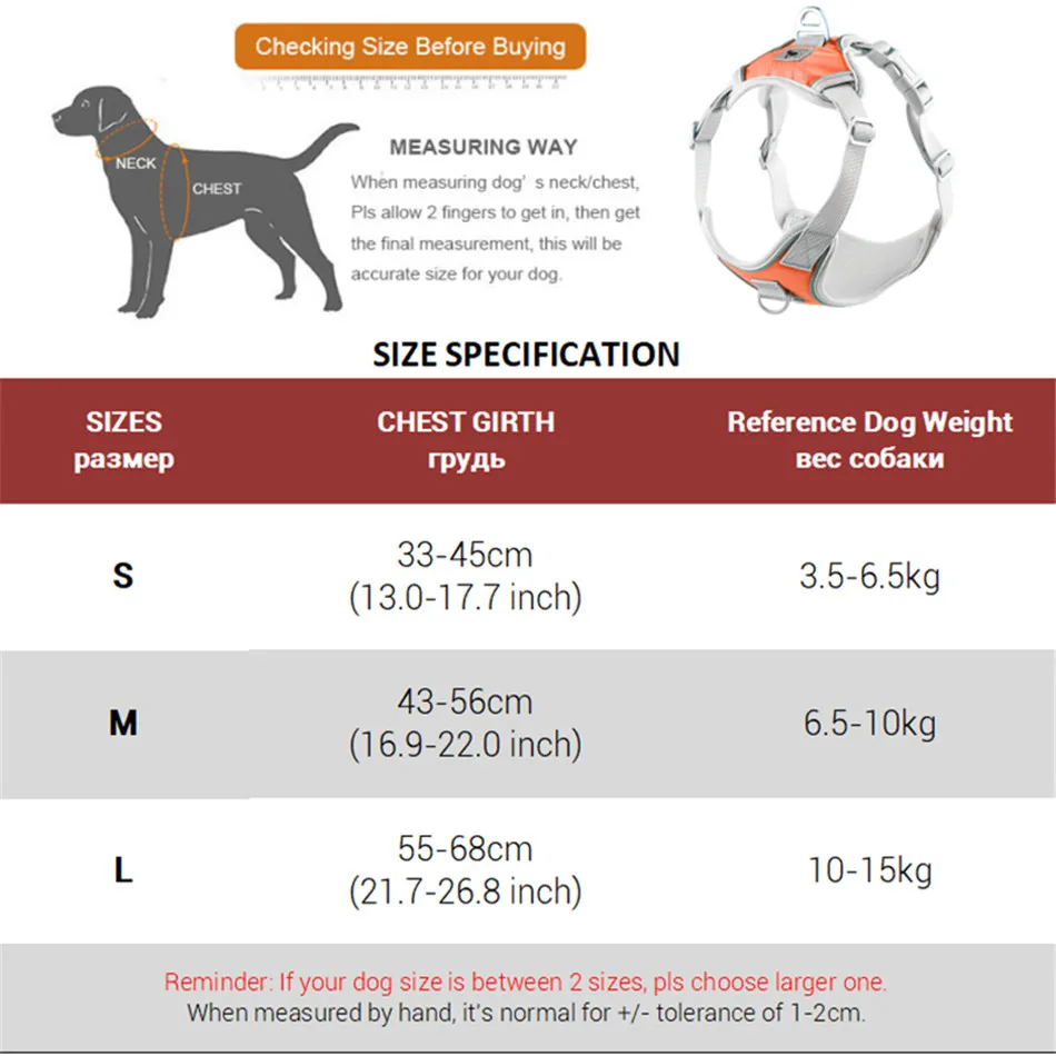 Arnés ajustable en tamaño medio colocado sobre un Boston Terrier
