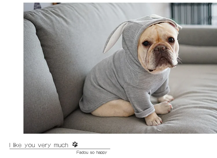 Gato con sudadera gris