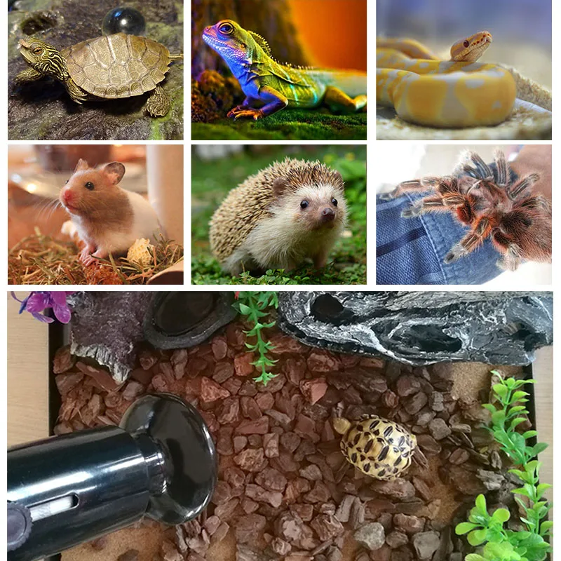 Bombilla calefactora cerámica para terrario