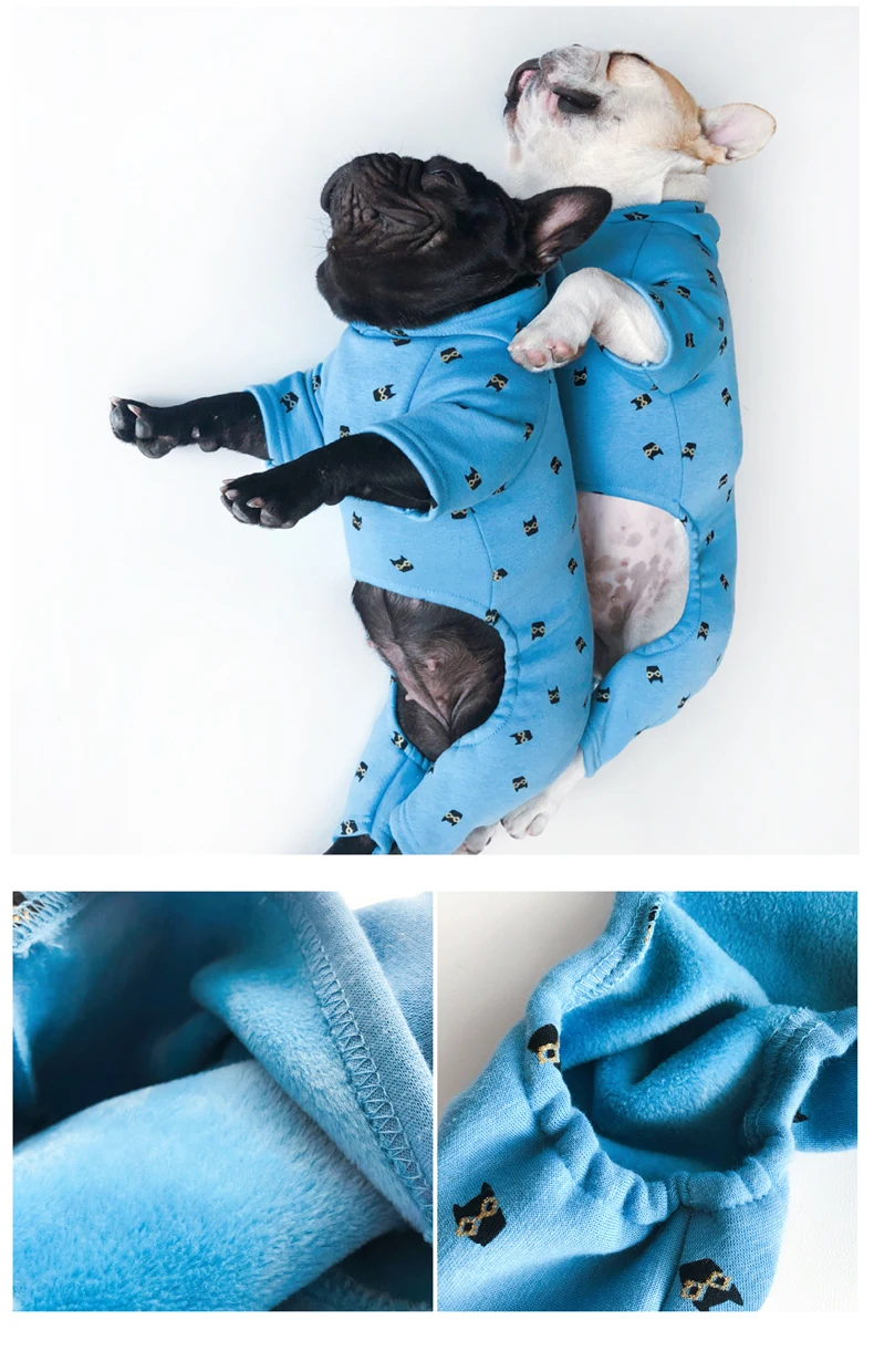Perro usando la sudadera en paseo urbano