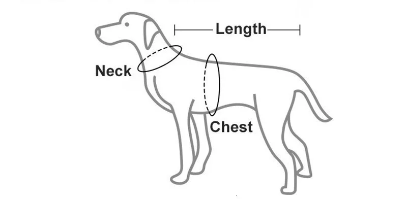 Detalle del estampado de leopardo