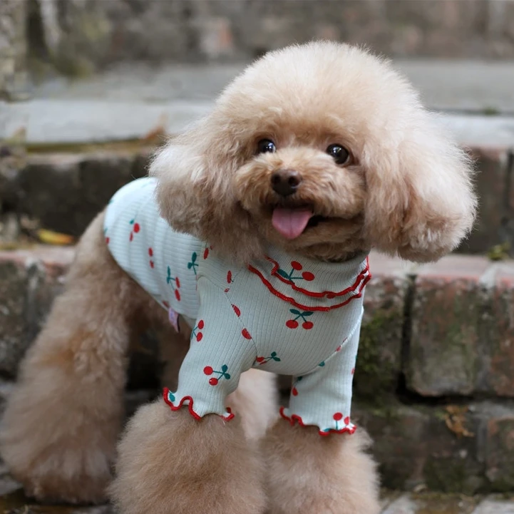 Ropa para perros detalle del ajuste