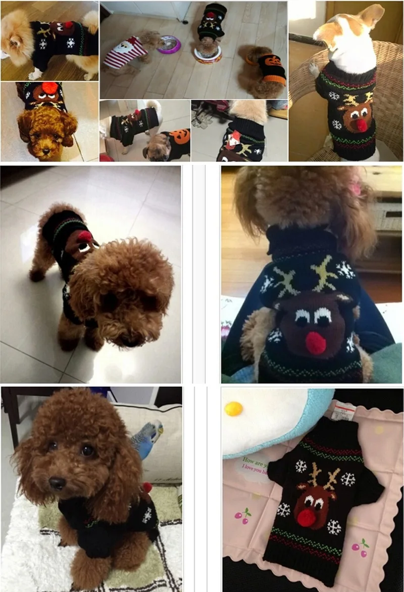 Suéter navideño rojo en perro