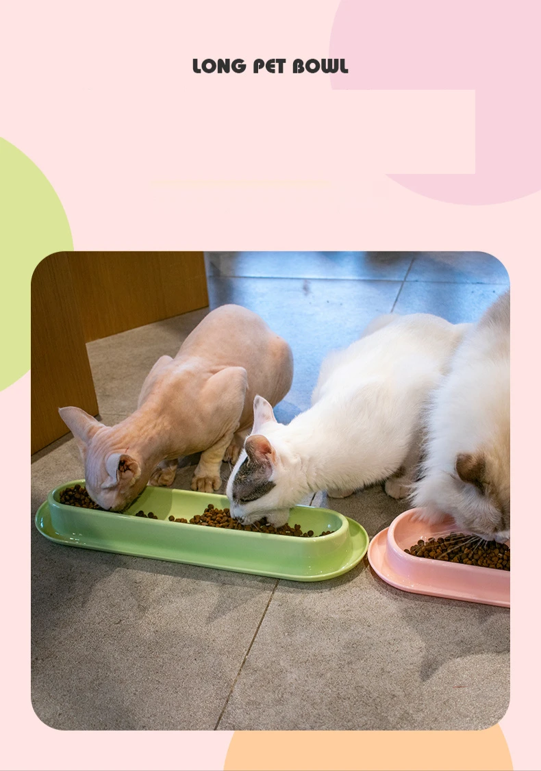 Cuenco largo de comida para gatos vista frontal