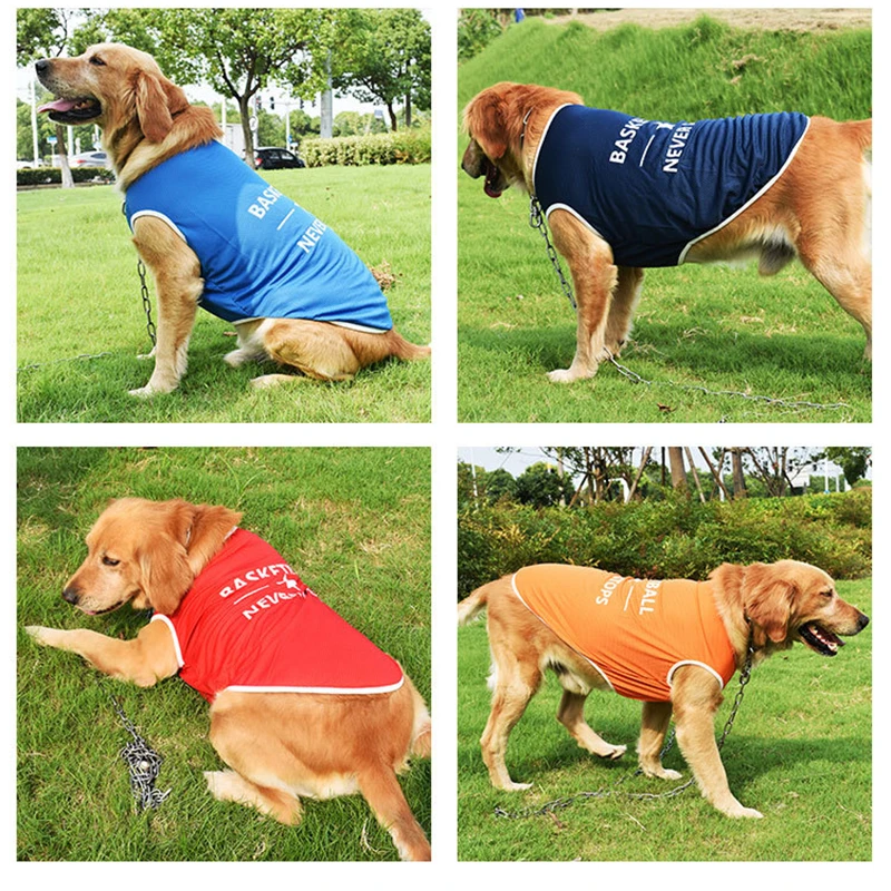 Perro con chaleco naranja y accesorios festivos