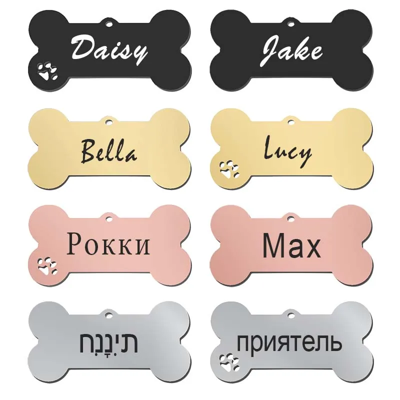 Collar ajustable en perro mediano