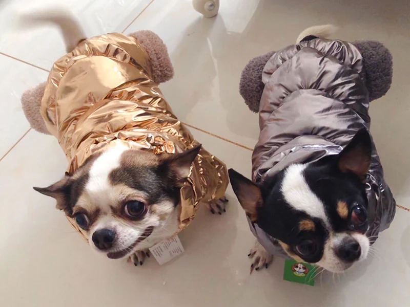 Guía de tallas y medidas