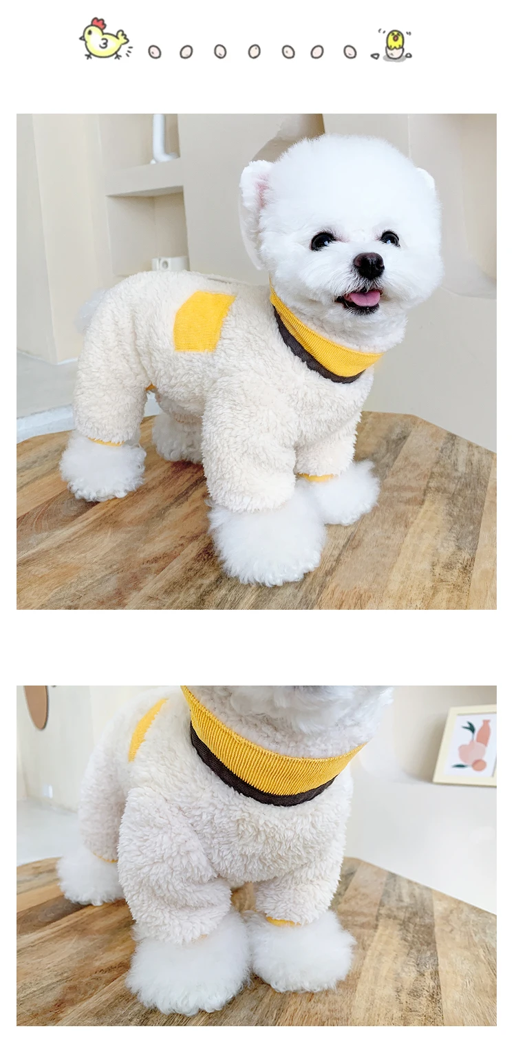 Perro con chaqueta ABQP
