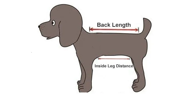 Cierre con cremallera y hebillas de liberación rápida