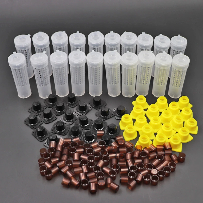 Jaulas queen y tazas de celda marrones