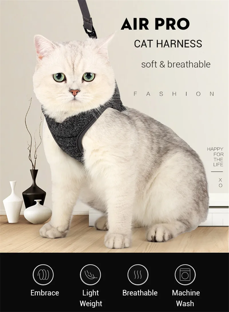 Gato con chaleco acolchado