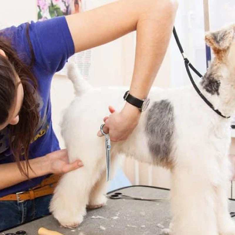 Tijeras en uso sobre un pelaje de perro mostrando un corte suave y uniforme