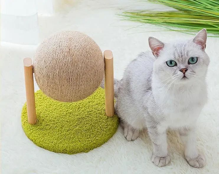 Rueda de ejercicio integrada